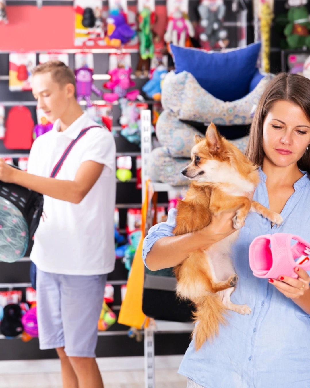Customer Shopping for Pet Supplies and Accessories Woman holding a small dog while shopping for a pink pet accessory in a brightly stocked pet supply store.